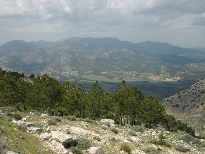 II vuelta (114).jpg