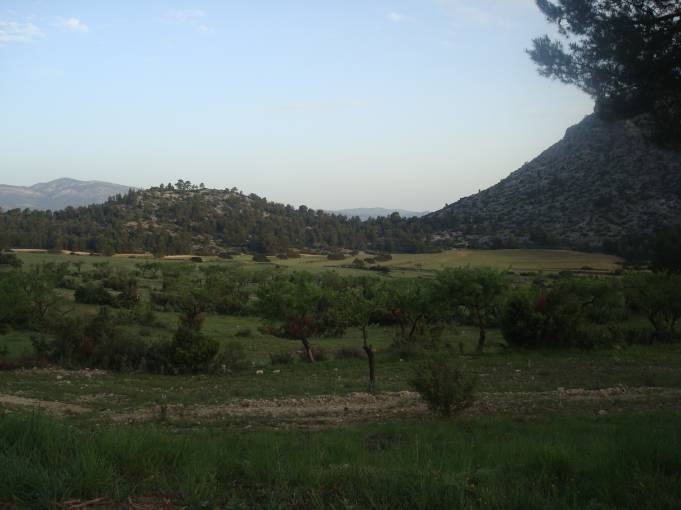 II vuelta (12).jpg