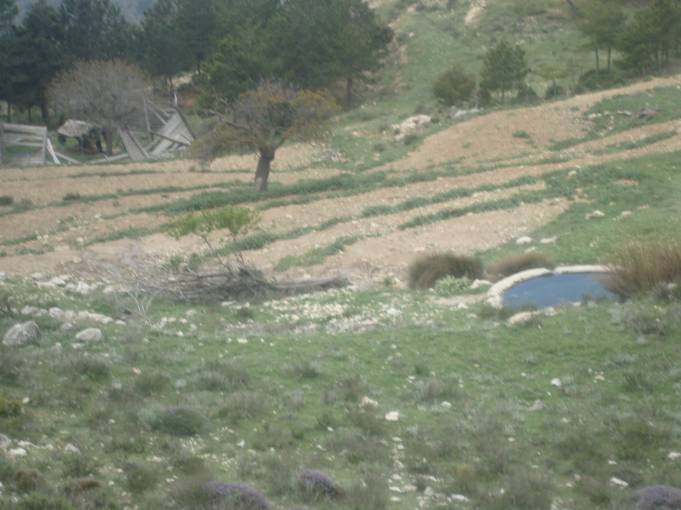 II vuelta (120).jpg