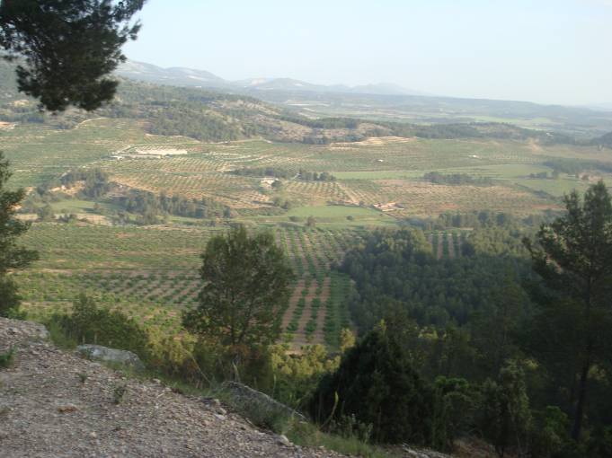 II vuelta (18).jpg