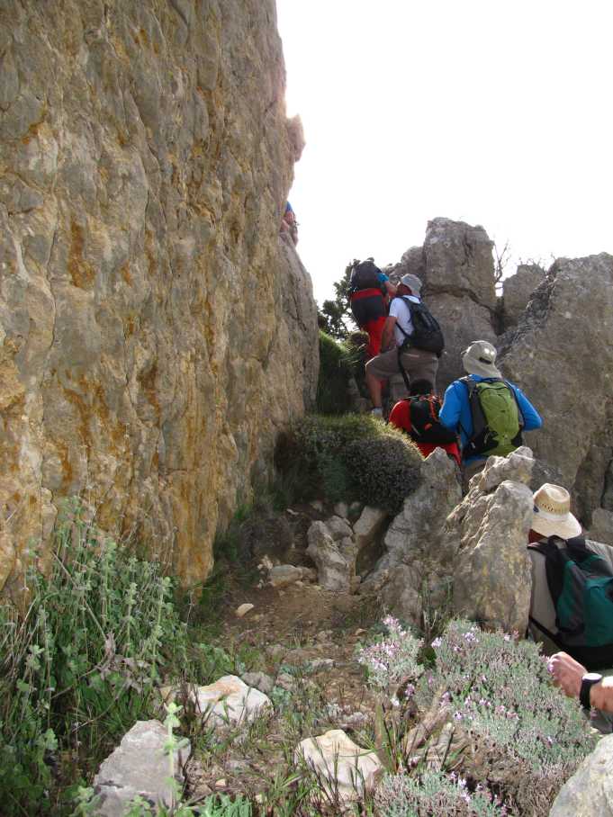 morrones de malvariche 027.jpg