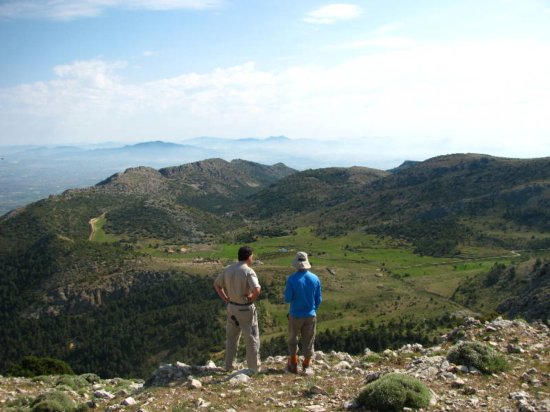 morrones de malvariche 035.jpg