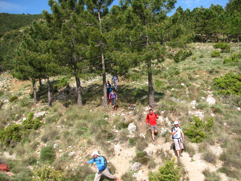 morrones de malvariche 039.jpg