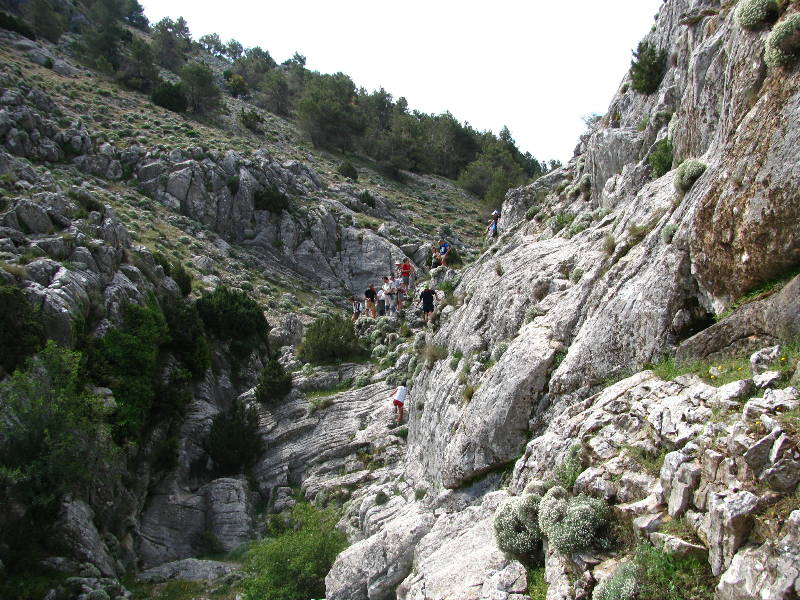 morrones de malvariche 042.jpg