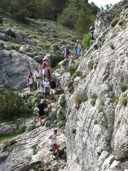 morrones de malvariche 043.jpg