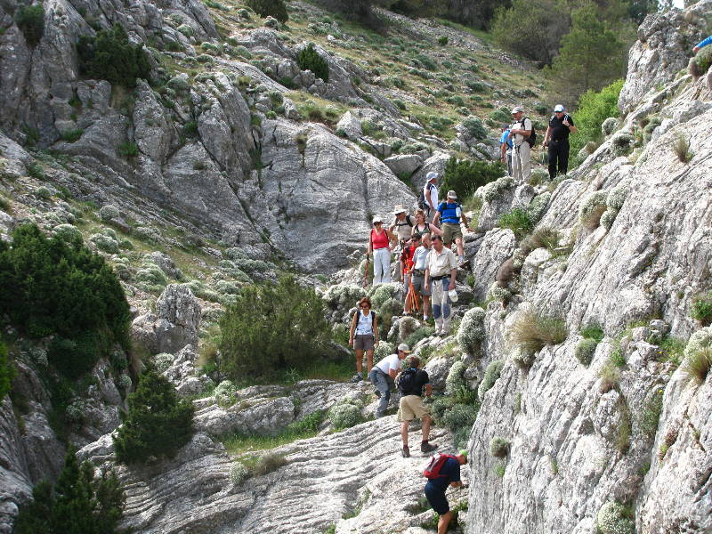 morrones de malvariche 046.jpg