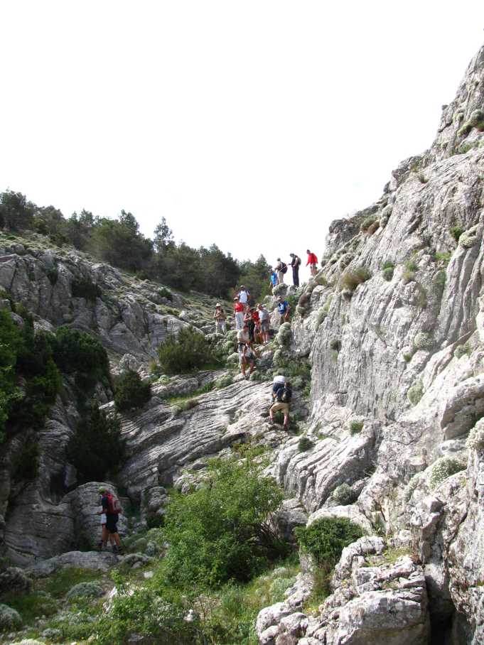 morrones de malvariche 048.jpg