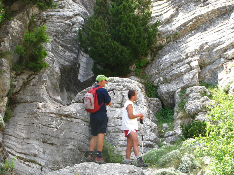 morrones de malvariche 049.jpg