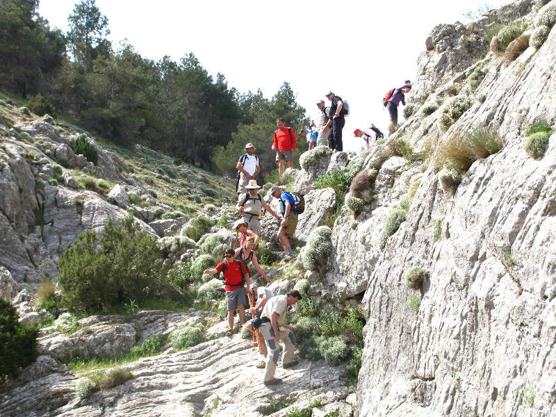 morrones de malvariche 051.jpg