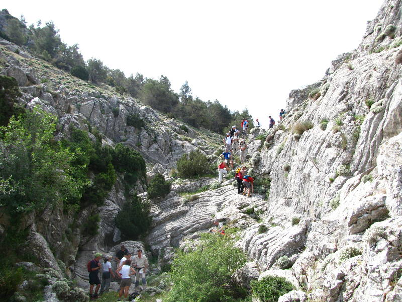 morrones de malvariche 054.jpg