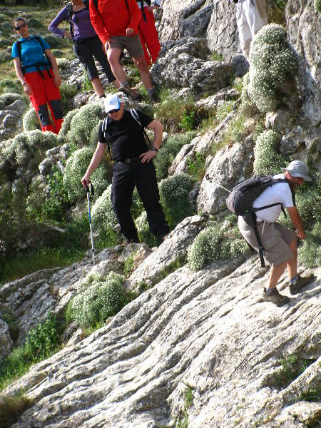 morrones de malvariche 062.jpg