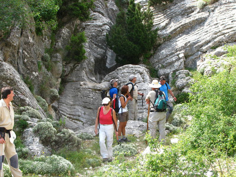 morrones de malvariche 064.jpg