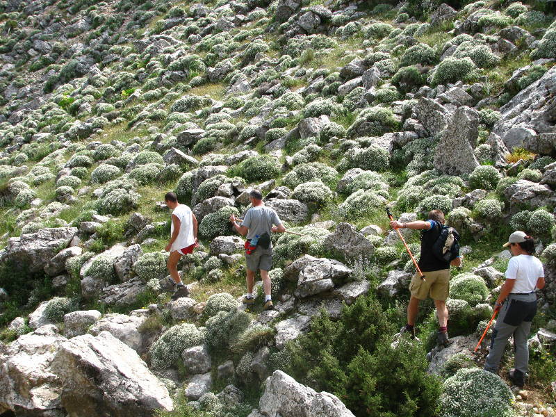morrones de malvariche 065.jpg