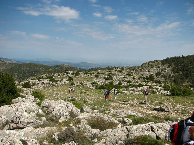morrones de malvariche 075.jpg