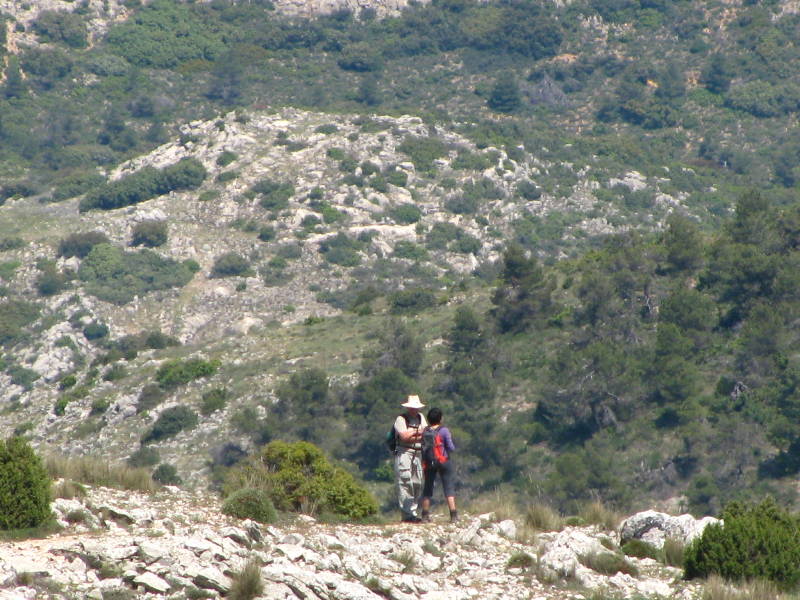 morrones de malvariche 078.jpg