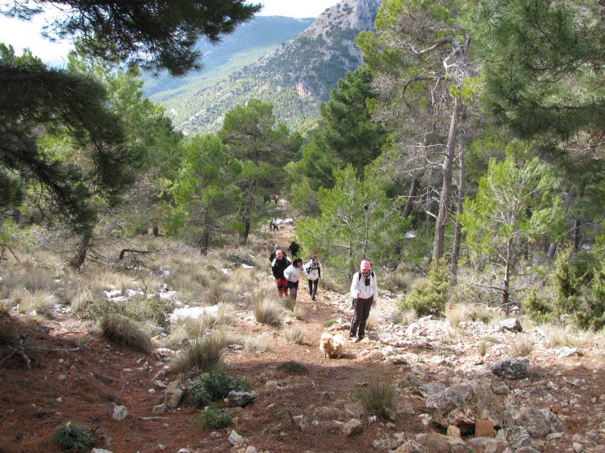 VI Subida al Morron (186).jpg