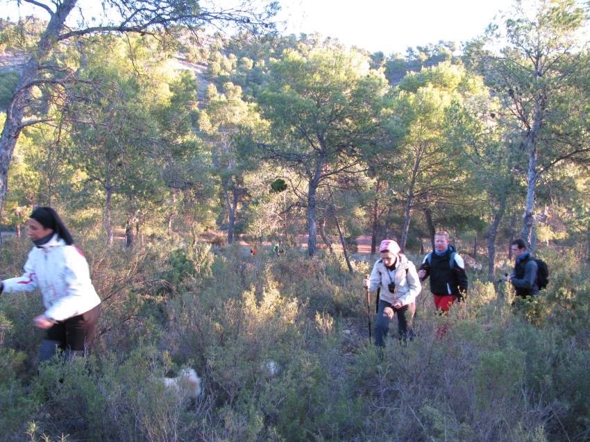 VI Subida al Morron (28).jpg