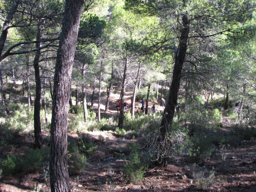 VI Subida al Morron (57).jpg