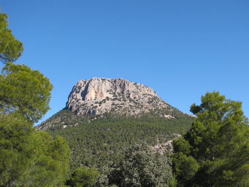 VI Subida al Morron (70).jpg