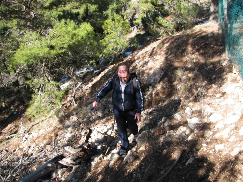 VI Subida al Morron (86).jpg