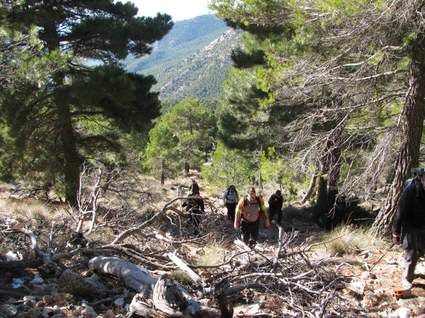 VI Subida al Morron (88).jpg