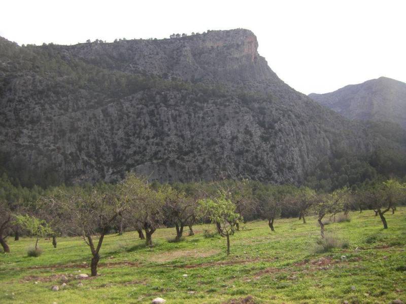 berro-casas nuevas (17).jpg