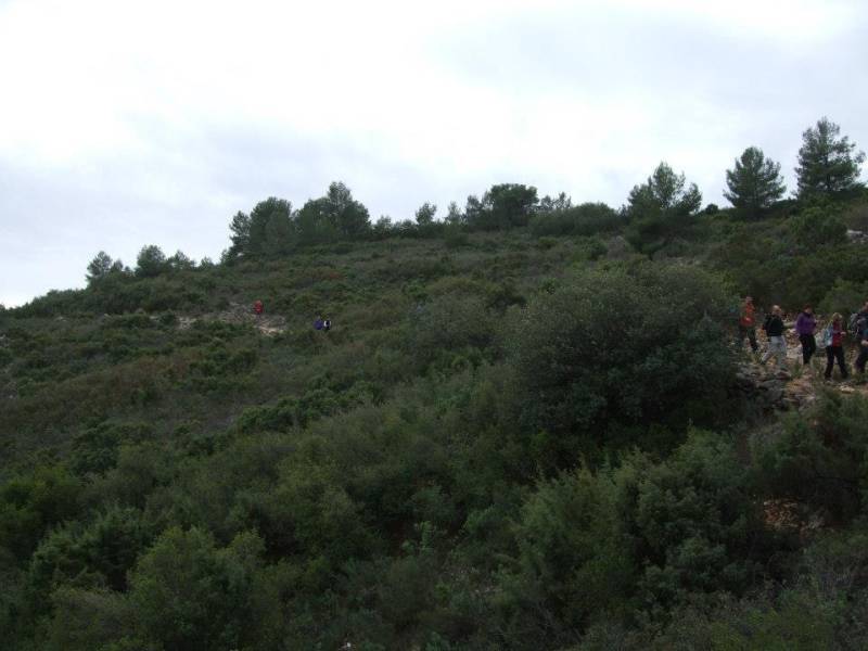 berro-casas nuevas (19).jpg