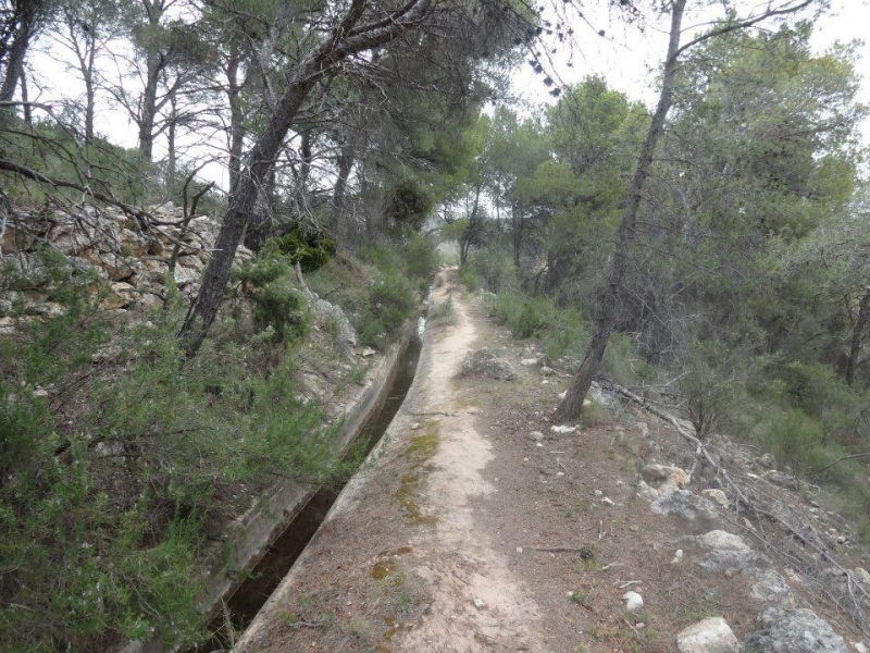 sierra espuna por lo canos (10).jpg