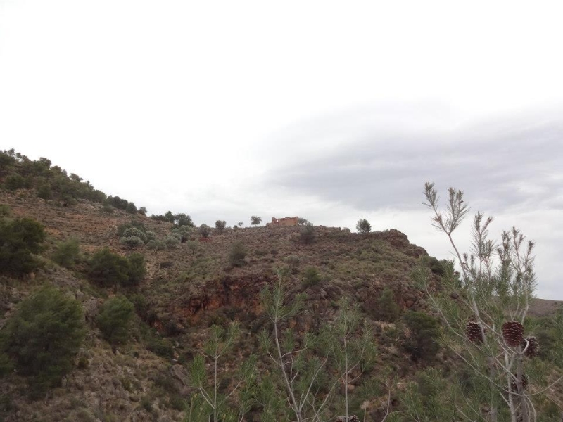 sierra espuna por lo canos (14).jpg
