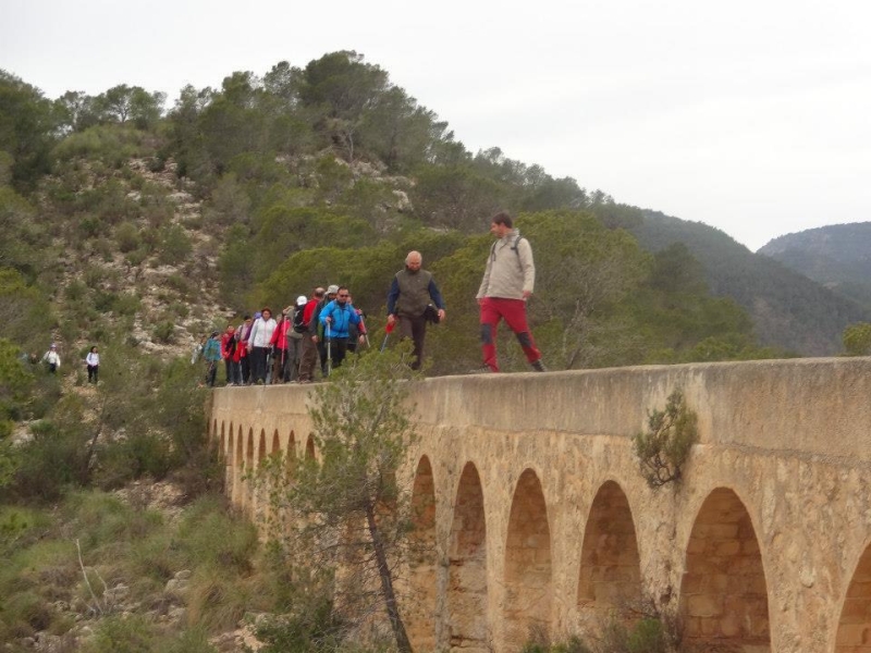 sierra espuna por lo canos (15).jpg