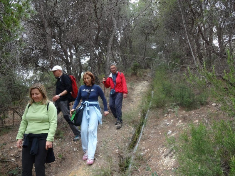 sierra espuna por lo canos (19).jpg