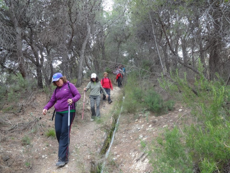 sierra espuna por lo canos (23).jpg
