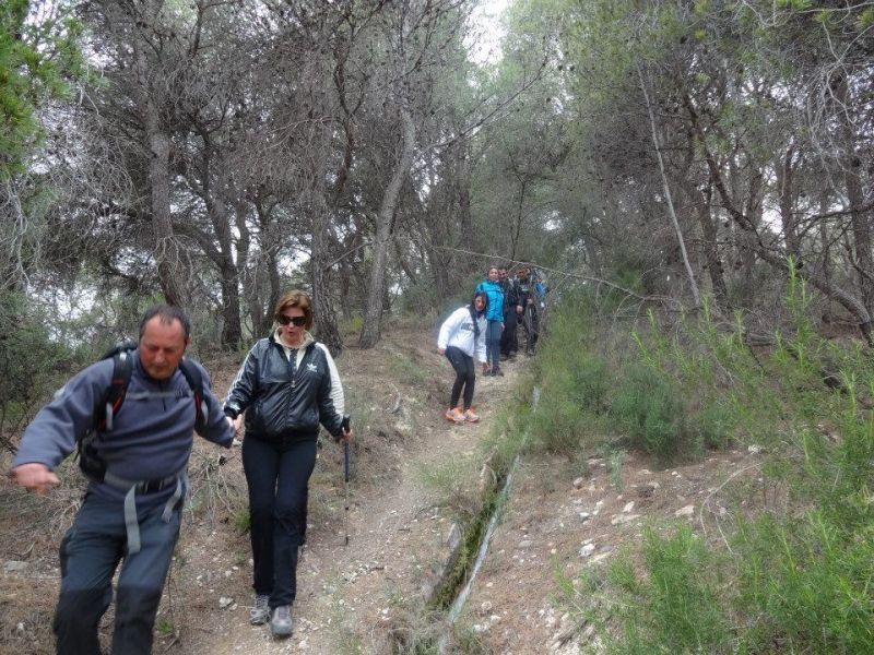 sierra espuna por lo canos (33).jpg