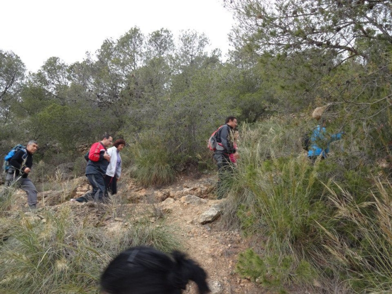 sierra espuna por lo canos (35).jpg