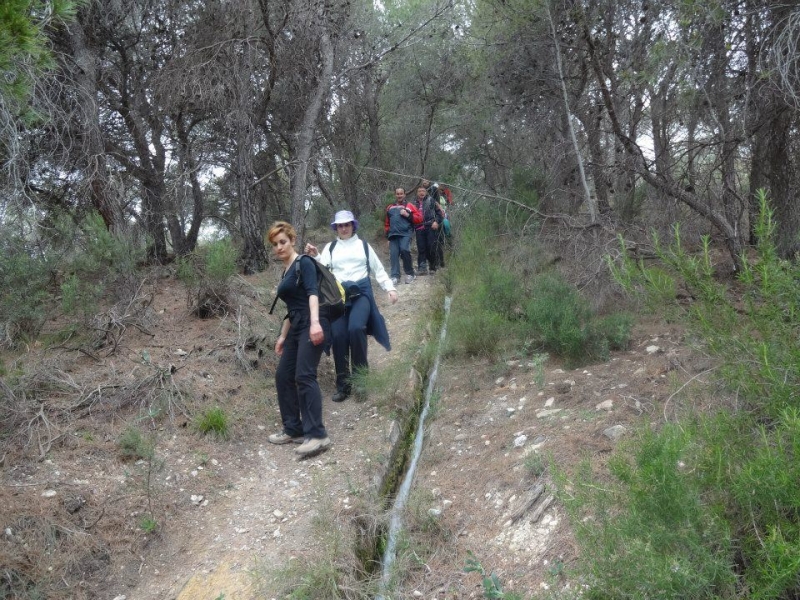 sierra espuna por lo canos (43).jpg