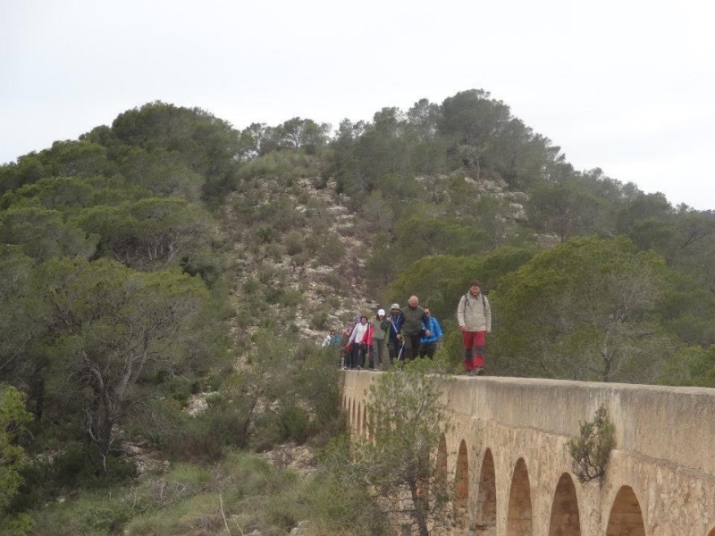 sierra espuna por lo canos (56).jpg