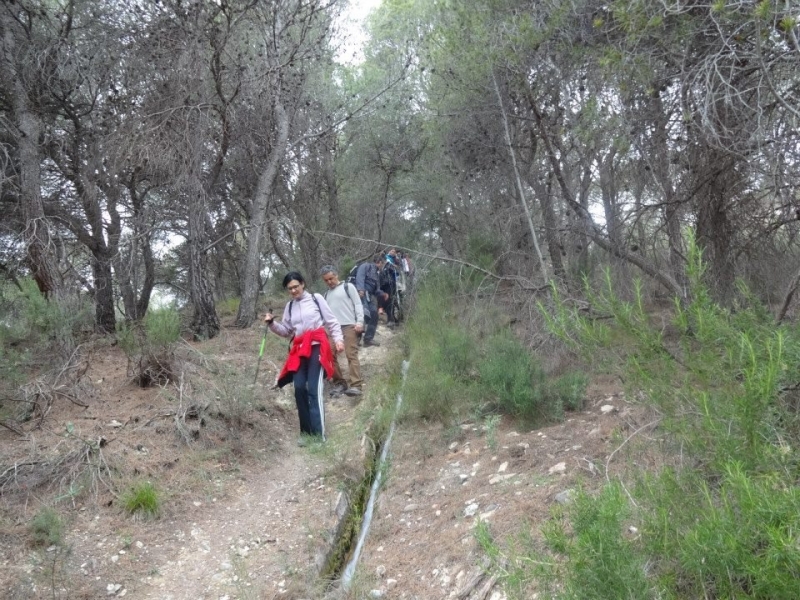 sierra espuna por lo canos (59).jpg